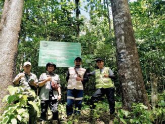 Kunjungan karyawan PT GKP ke area lokasi Rehab DAS